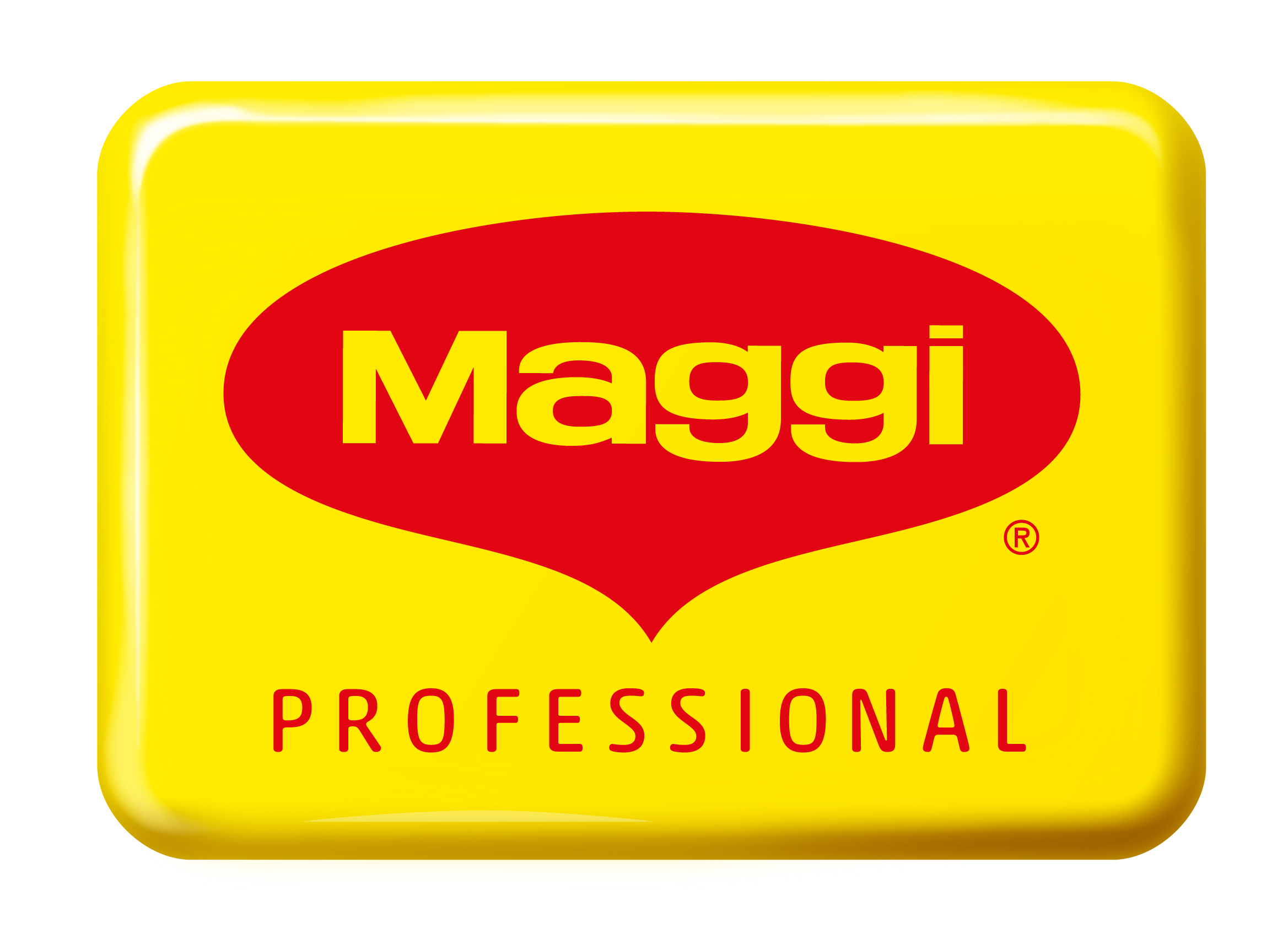 Logo Maggi Professional