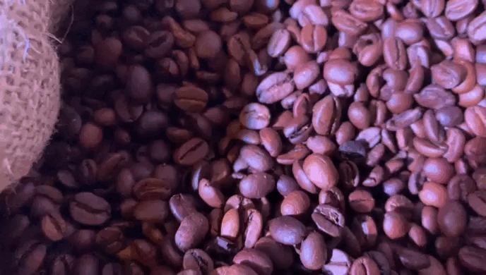 Granos de Café Nescafé en Exigí Buen Café