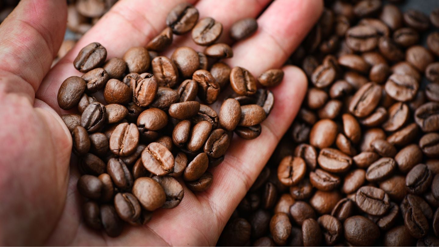 Mano sosteniendo granos de café tostado con textura brillante y uniforme en primer plano