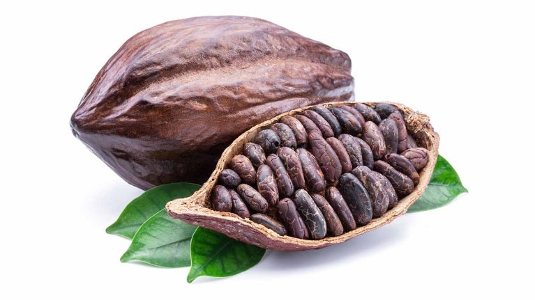 Vainas y granos de cacao, el producto que se homenajea en el Día Mundial del Cacao