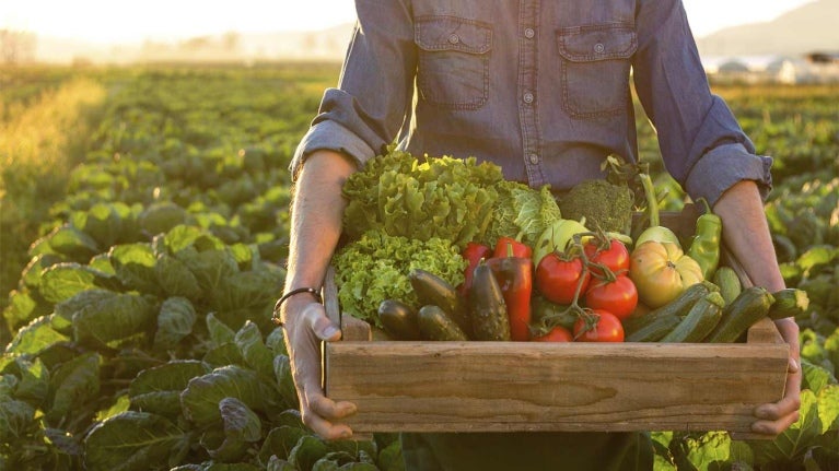 Hombre cargando caja con frutas y verduras de temporada