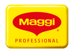 Logo Maggi Professional