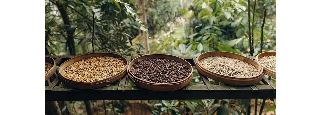 Productos de calidad como granos y legumbres