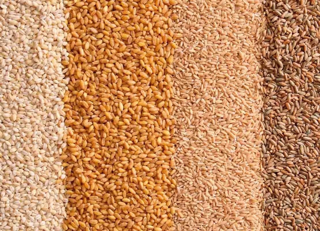 De arriba abajo alérgenos alimentarios por su contenido o contacto con el gluten: centeno, avena, trigo y cebada perlada