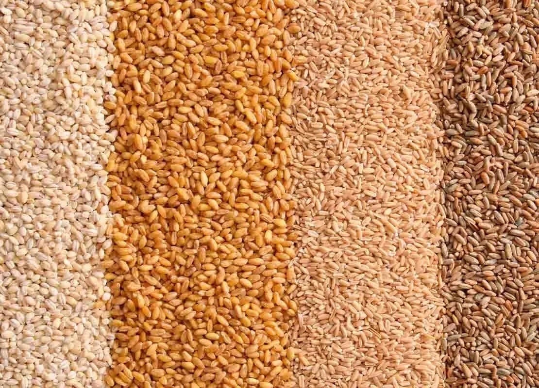 De arriba abajo alérgenos alimentarios por su contenido o contacto con el gluten: centeno, avena, trigo y cebada perlada