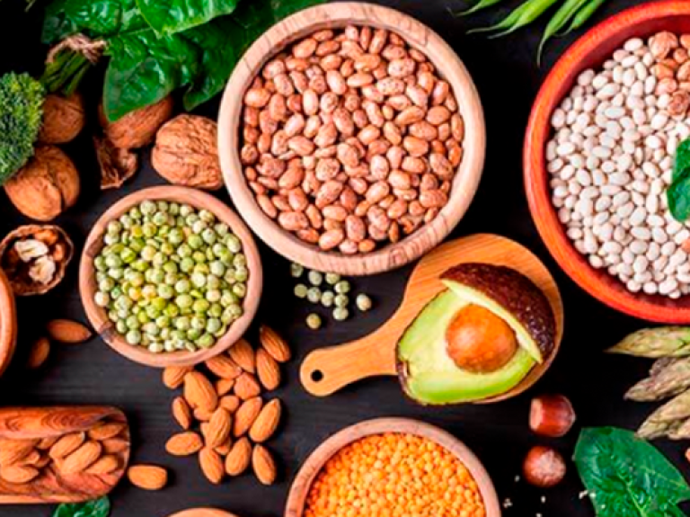 banner_diversidad_de_proteinas_vegetales