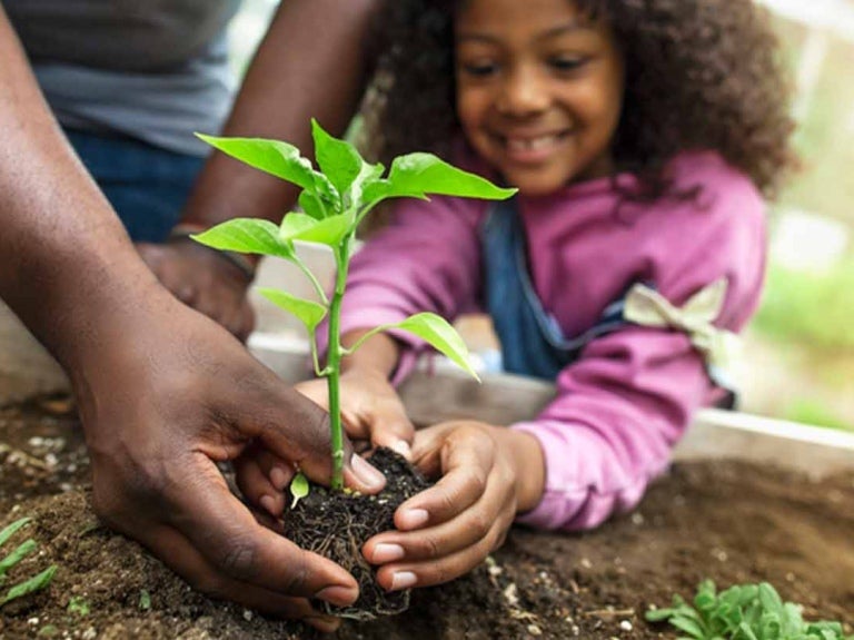 Niña plantando una planta junto a su padre como acción de responsabilidad ambiental