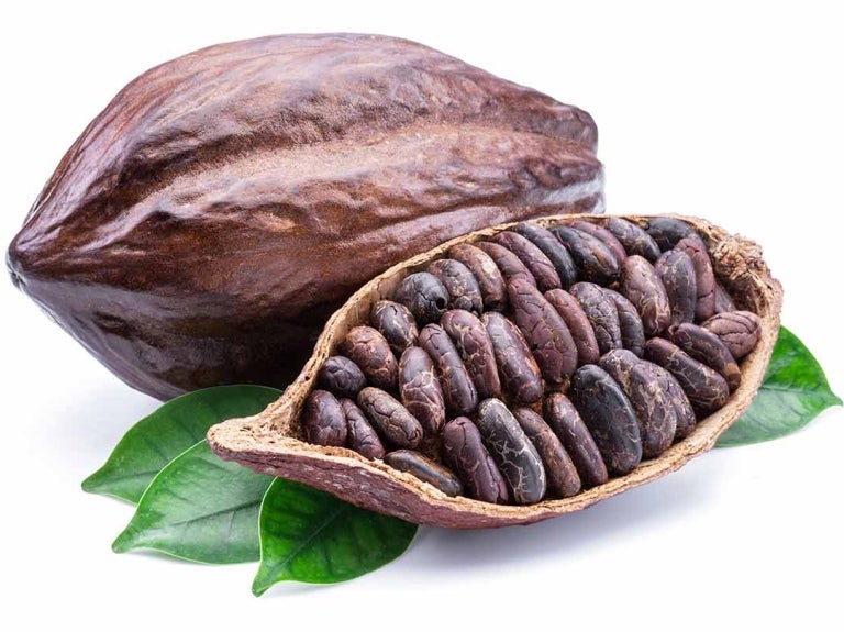 Vainas y granos de cacao, el producto que se homenajea en el Día Mundial del Cacao
