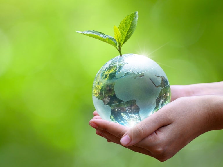 Manos de mujer sosteniendo una planta verde en el planeta tierra como gota de agua