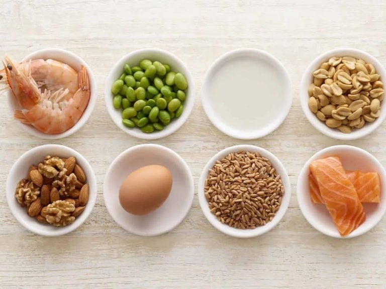 Platos con alérgenos alimentarios comunes como mariscos, soya, leche, maní, frutos secos, huevo, trigo y pescado