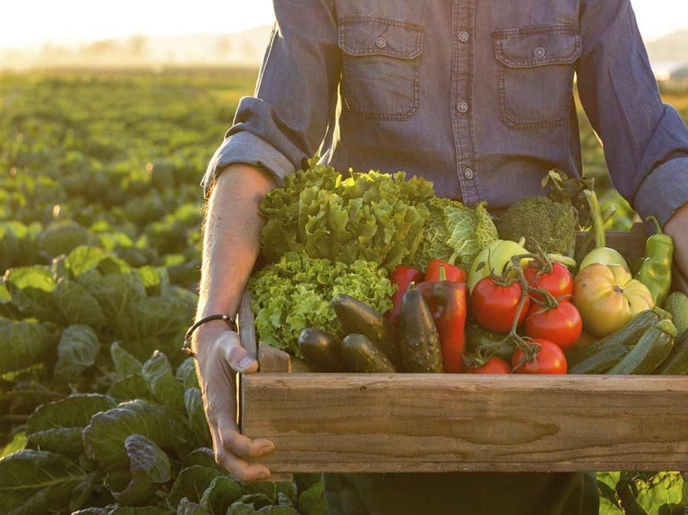 Hombre cargando caja con frutas y verduras de temporada