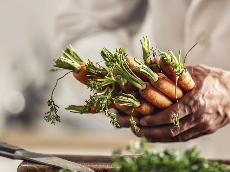 Mano sosteniendo zanahorias