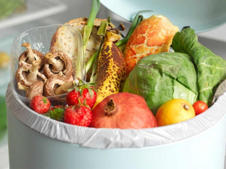 Basurero abierto lleno de frutas y verduras en buen estado, representando el desperdicio de alimentos