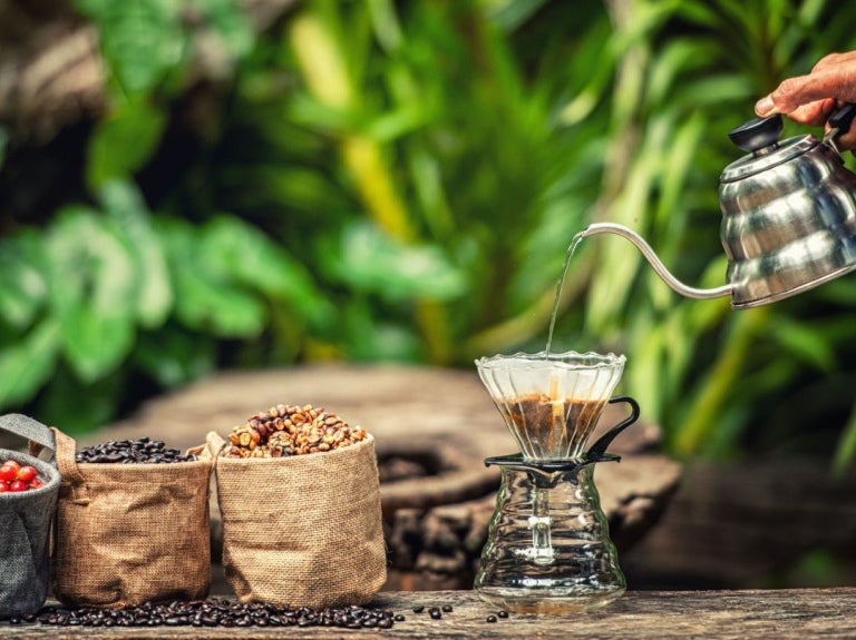 Preparación de café filtrado al aire libre, junto a granos en distintas etapas de procesamiento.