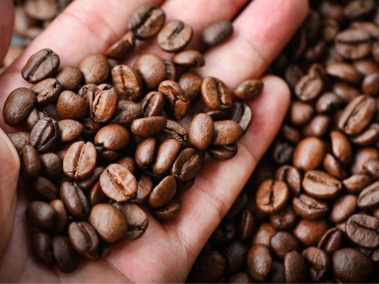 Mano sosteniendo granos de café tostado con textura brillante y uniforme en primer plano