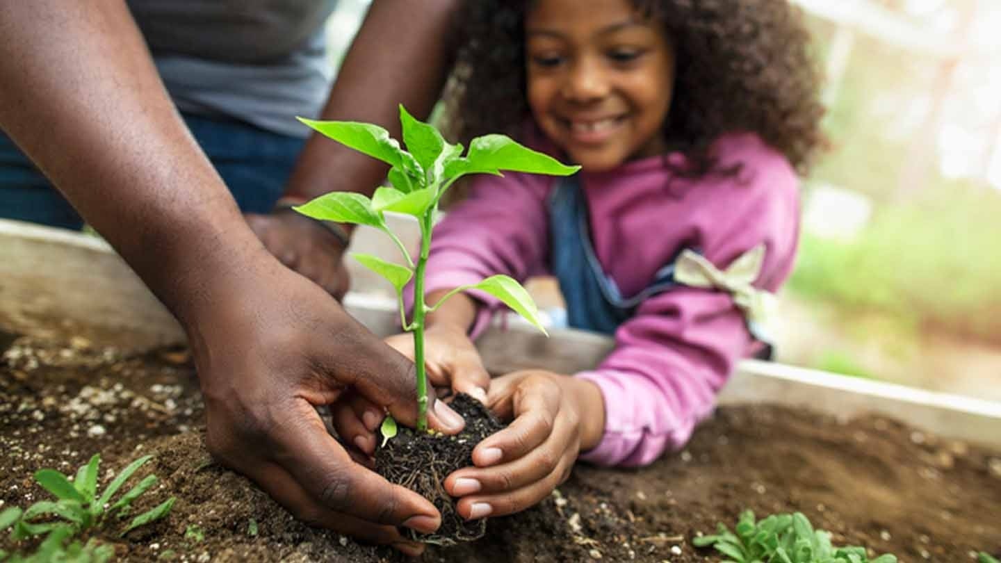 Niña plantando una planta junto a su padre como acción de responsabilidad ambiental