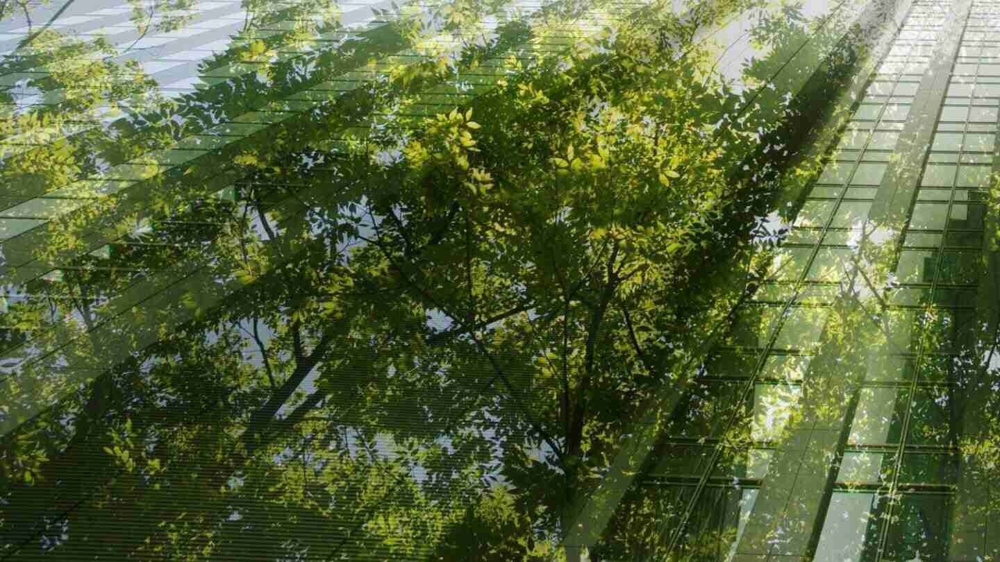 Arboles de hojas verdes reflejados en los ventanales de un edificio 