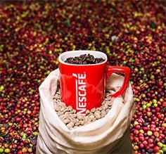 Taza roja Nescafé junto con frutos de café, granos verdes y tostados